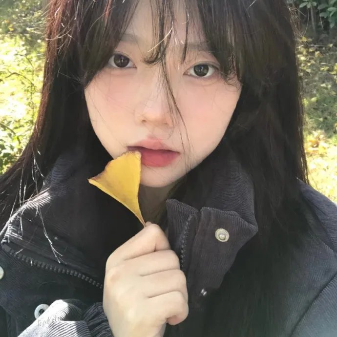 会长是女仆 特别篇